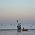 Dahanu beach with fishing boats, Sea Crest Beach Resort,Dahanu Dahanu Beach Hotel,Dahanu Beach Resort